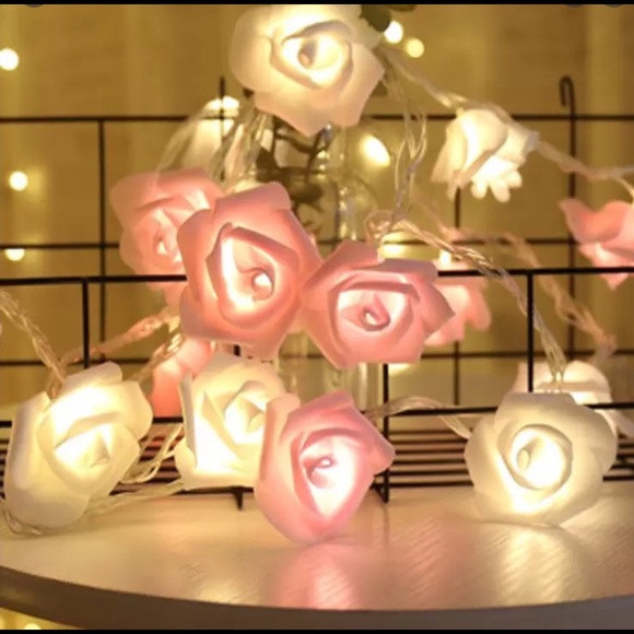 WHITE & PINK AESTHETIC ROSE STRING LIGHTS - Picture 4 of 6